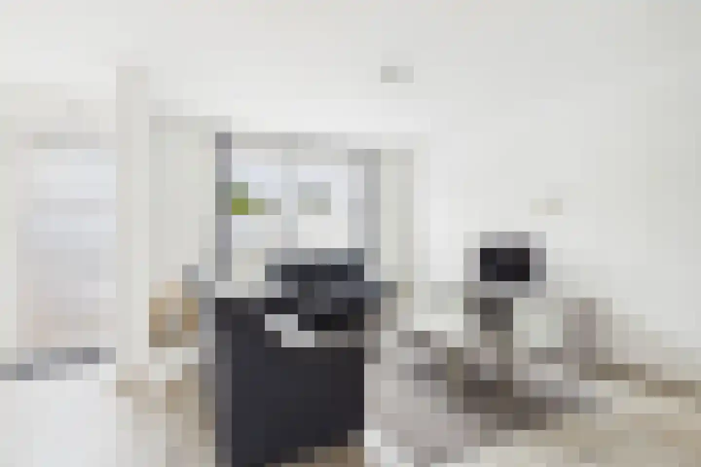 Stroodorpe 14 Sluiskil thumbnail 8