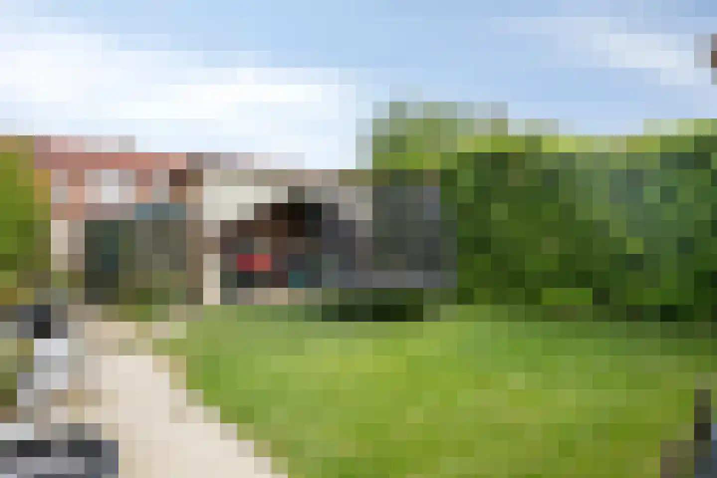 Stroodorpe 32 Sluiskil thumbnail 20