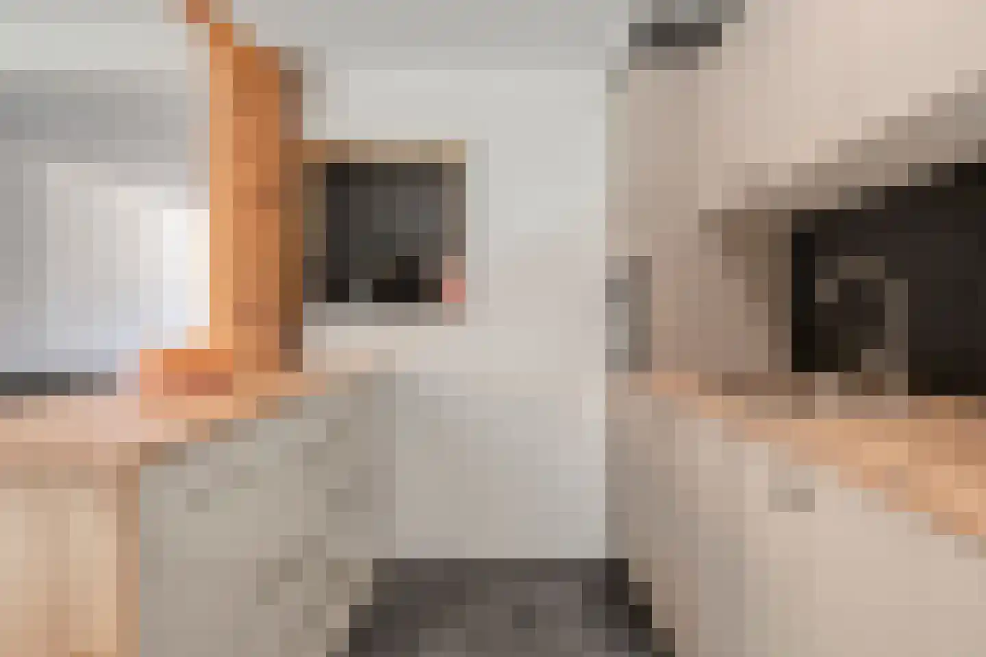 Stroodorpe 32 Sluiskil thumbnail 6