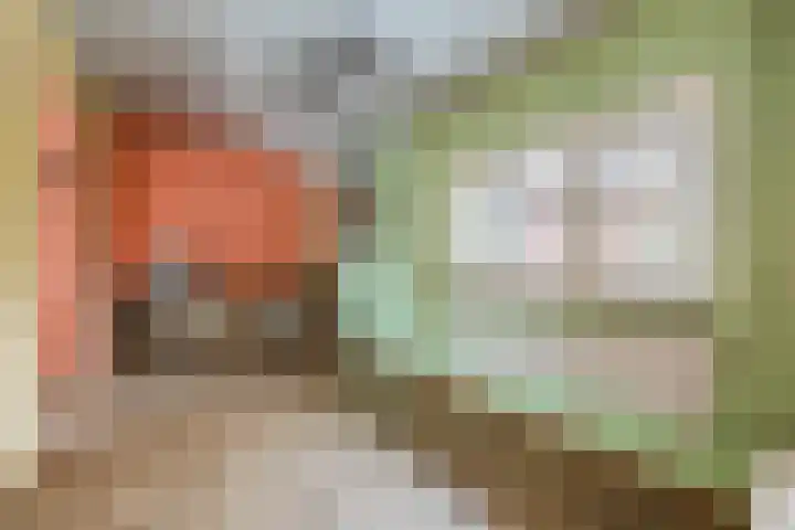 Stroodorpe 36 Sluiskil thumbnail 12