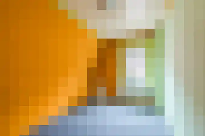 Stroodorpe 36 Sluiskil thumbnail 20