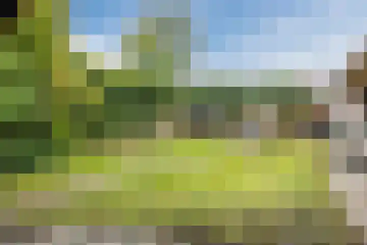Stroodorpe 36 Sluiskil thumbnail 22