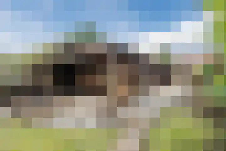 Stroodorpe 36 Sluiskil thumbnail 25