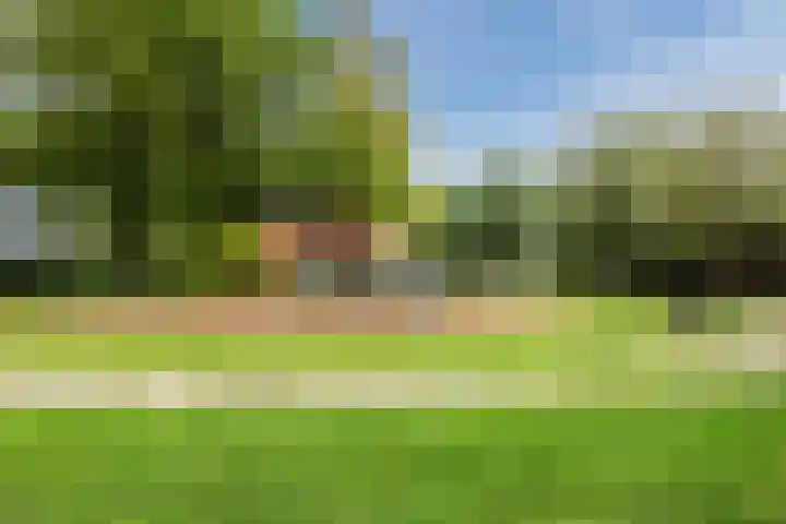Stroodorpe 36 Sluiskil thumbnail 30