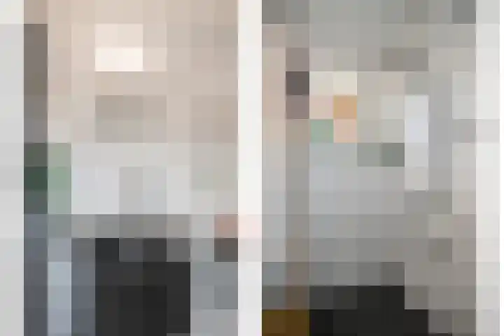 Stroodorpe 45 Sluiskil thumbnail 11