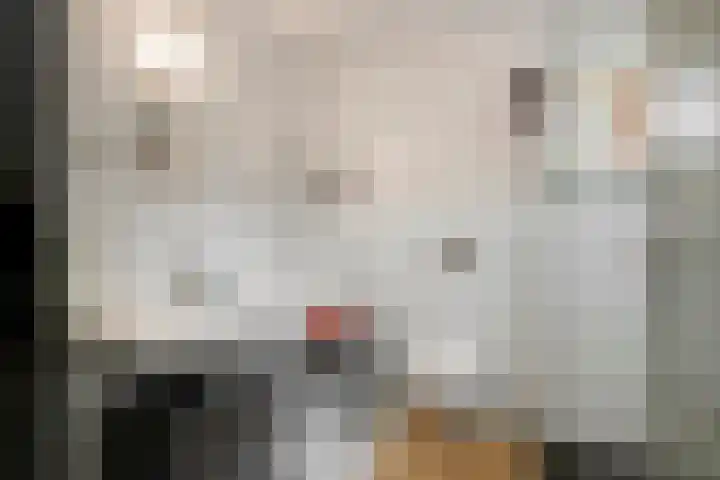 Stroodorpe 45 Sluiskil thumbnail 12