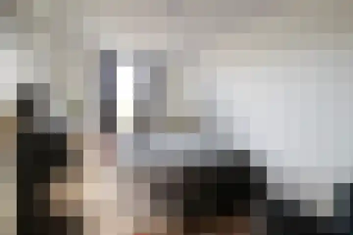 Stroodorpe 45 Sluiskil thumbnail 16