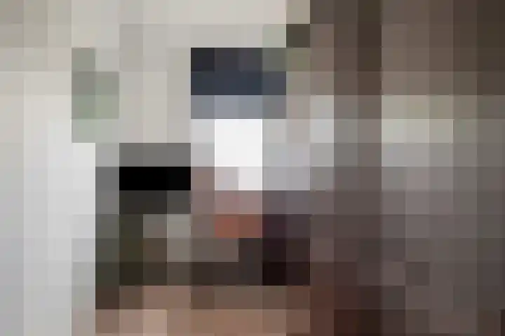 Stroodorpe 45 Sluiskil thumbnail 17