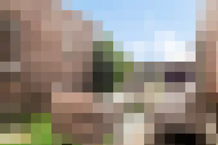 Stroodorpe 45 Sluiskil thumbnail 18