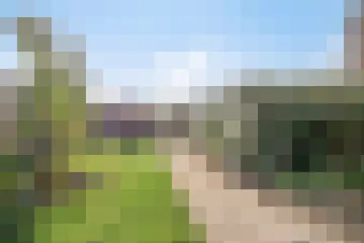 Stroodorpe 45 Sluiskil thumbnail 19
