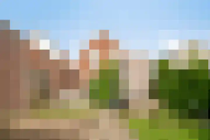Stroodorpe 45 Sluiskil thumbnail 20