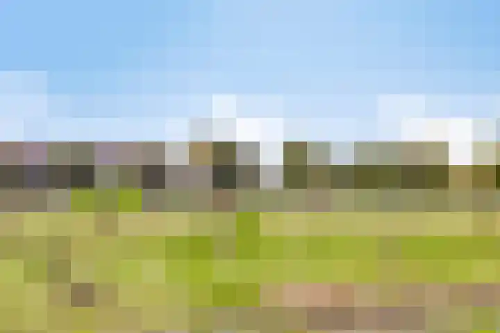 Stroodorpe 45 Sluiskil thumbnail 21