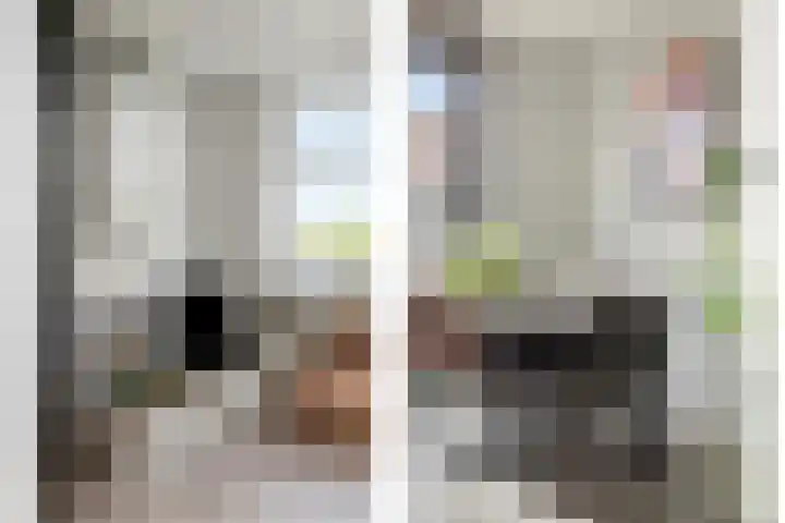 Stroodorpe 45 Sluiskil thumbnail 5