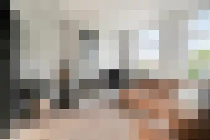 Stroodorpe 45 Sluiskil thumbnail 6