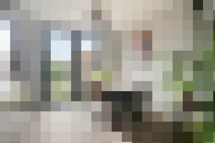 Stroodorpe 45 Sluiskil thumbnail 8