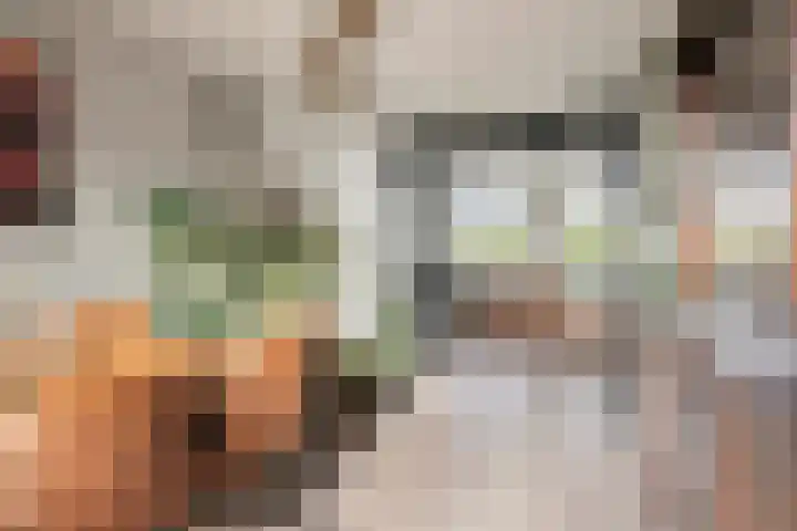 Stroodorpe 45 Sluiskil thumbnail 9