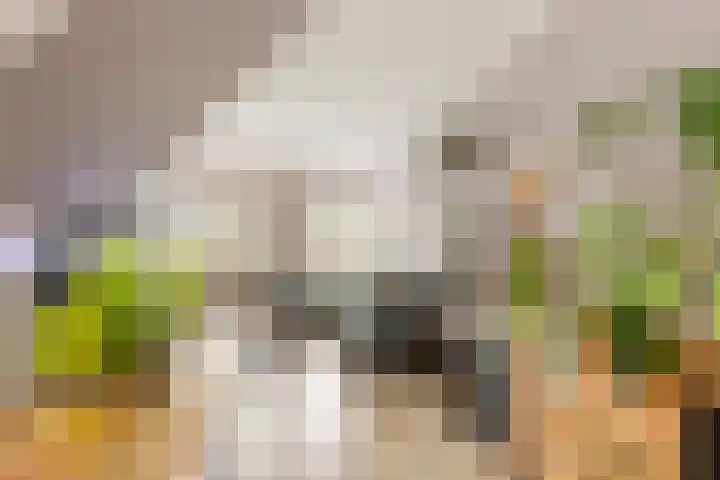 Stroolaan 19 Hoogezand thumbnail 12