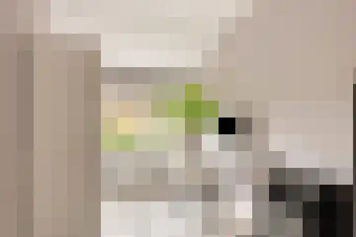 Stroolaan 19 Hoogezand thumbnail 24