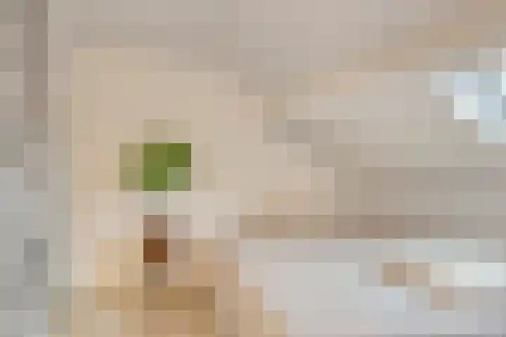 Stroolaan 19 Hoogezand thumbnail 26