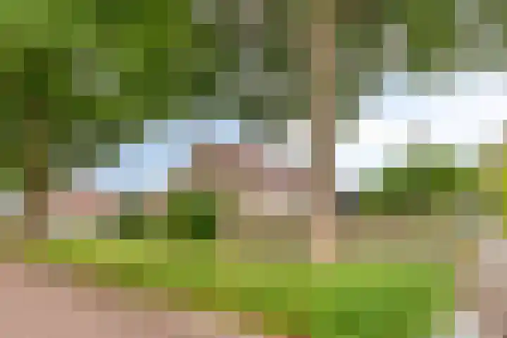 Stroolaan 19 Hoogezand thumbnail 37