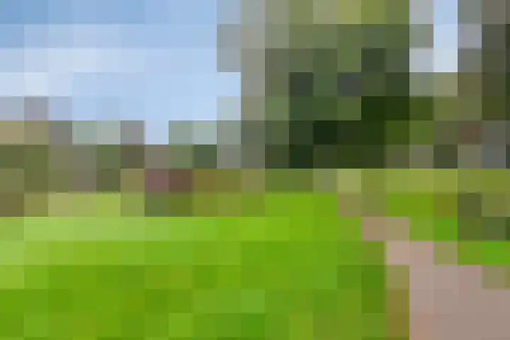 Stroolaan 19 Hoogezand thumbnail 38
