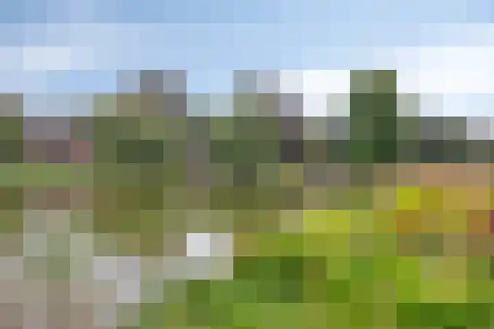 Stroolaan 19 Hoogezand thumbnail 39