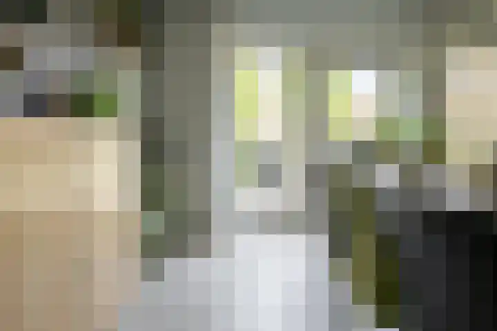 Stroom-Eschlaan 130 Borne thumbnail 14