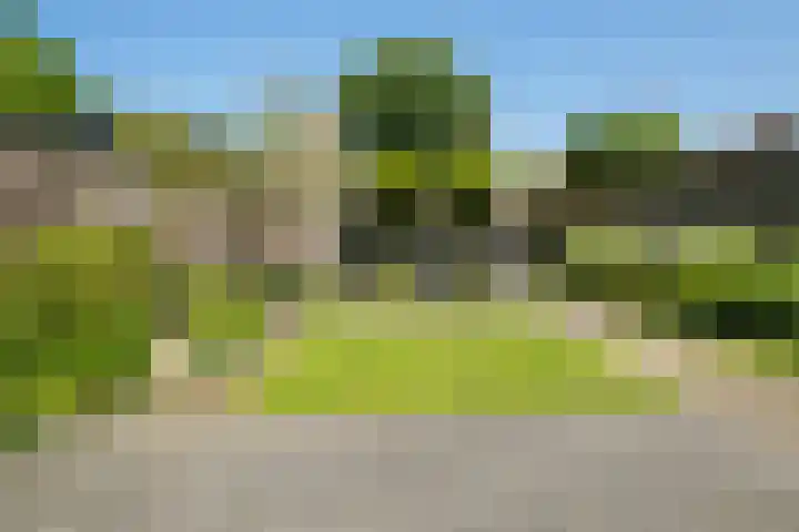 Stroom-Eschlaan 130 Borne thumbnail 25