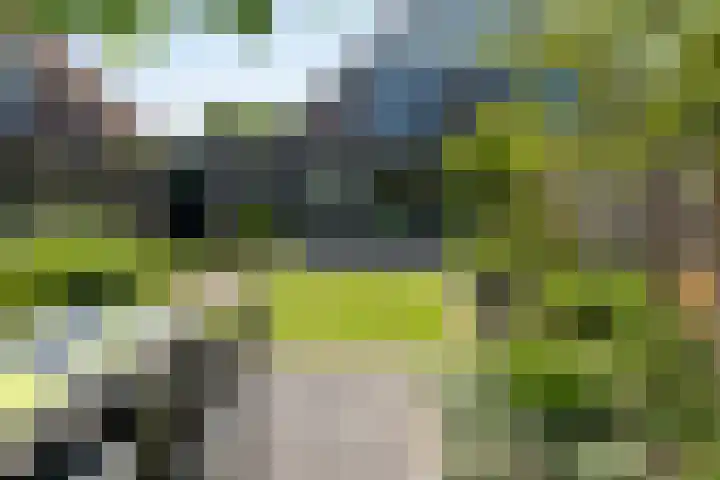 Stroom-Eschlaan 130 Borne thumbnail 26