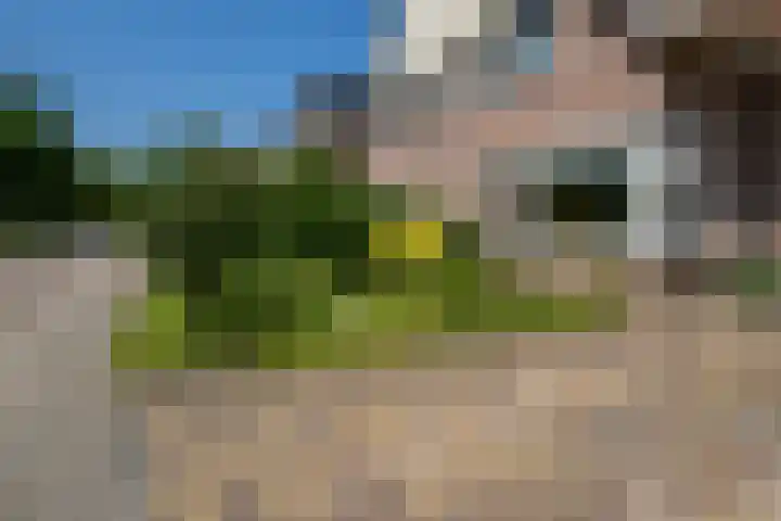 Stroom-Eschlaan 130 Borne thumbnail 28