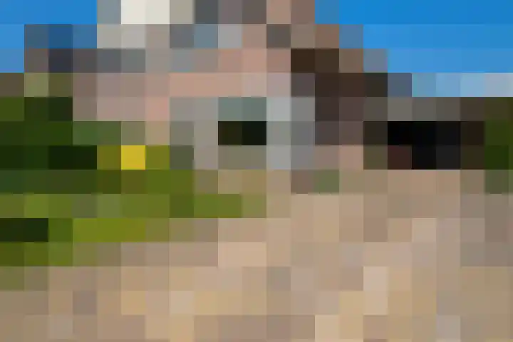 Stroom-Eschlaan 130 Borne thumbnail 29