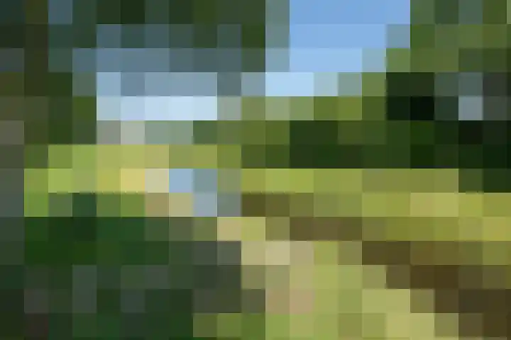 Stroom-Eschlaan 130 Borne thumbnail 32