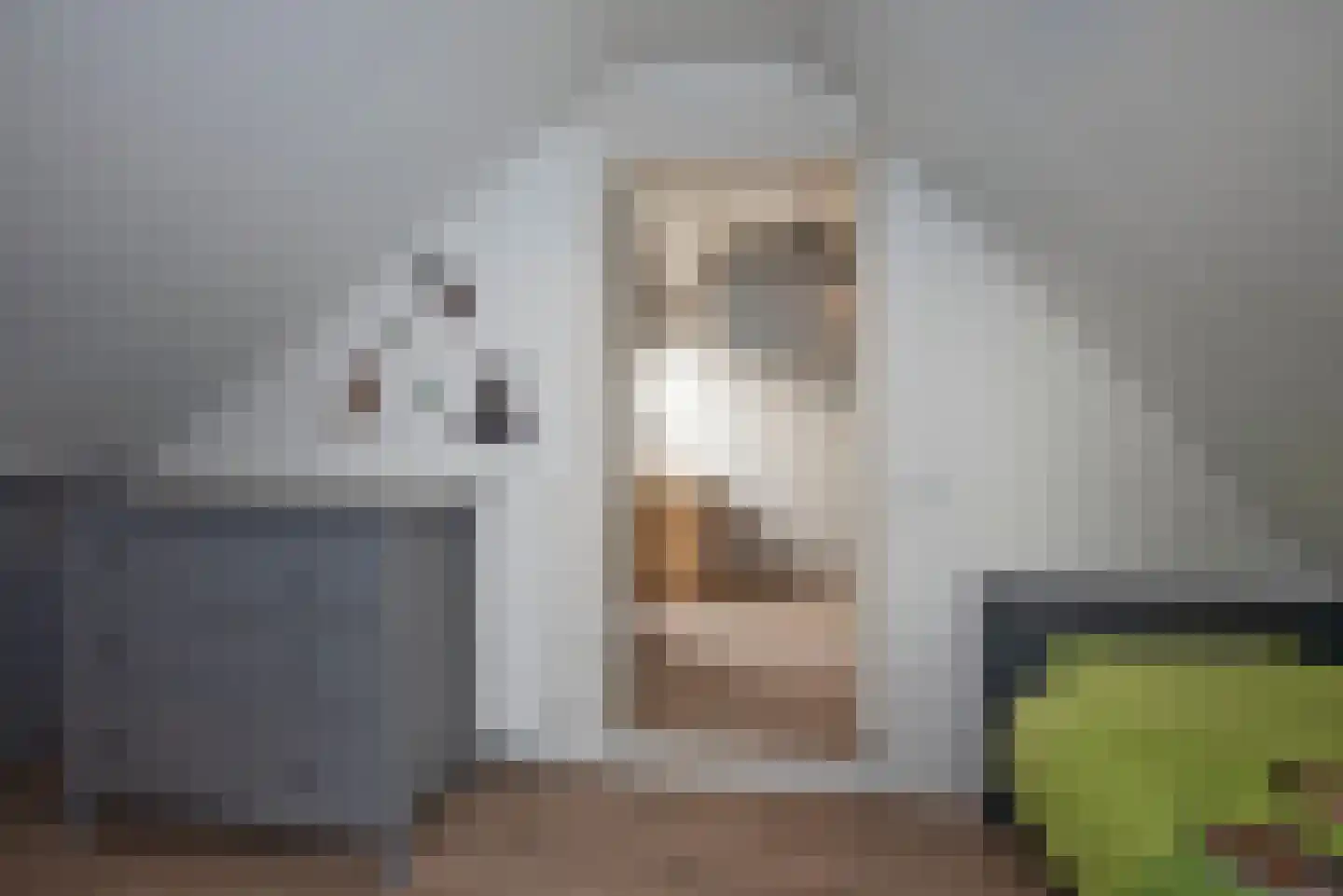 Stroom-Eschlaan 29 Borne thumbnail 29