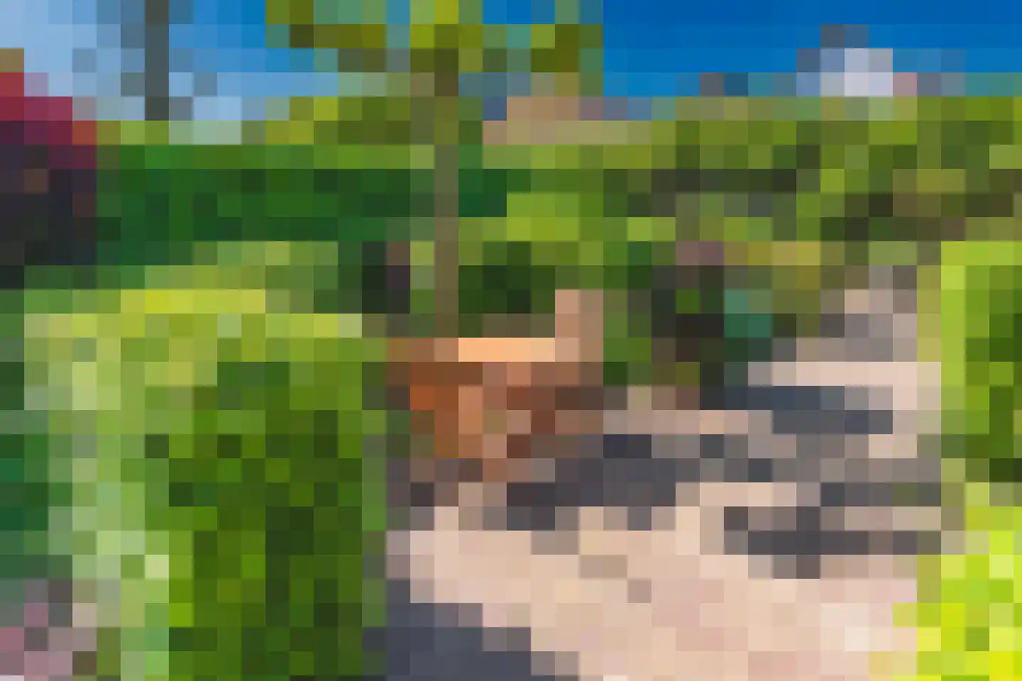 Stroom-Eschlaan 35 Borne thumbnail 46
