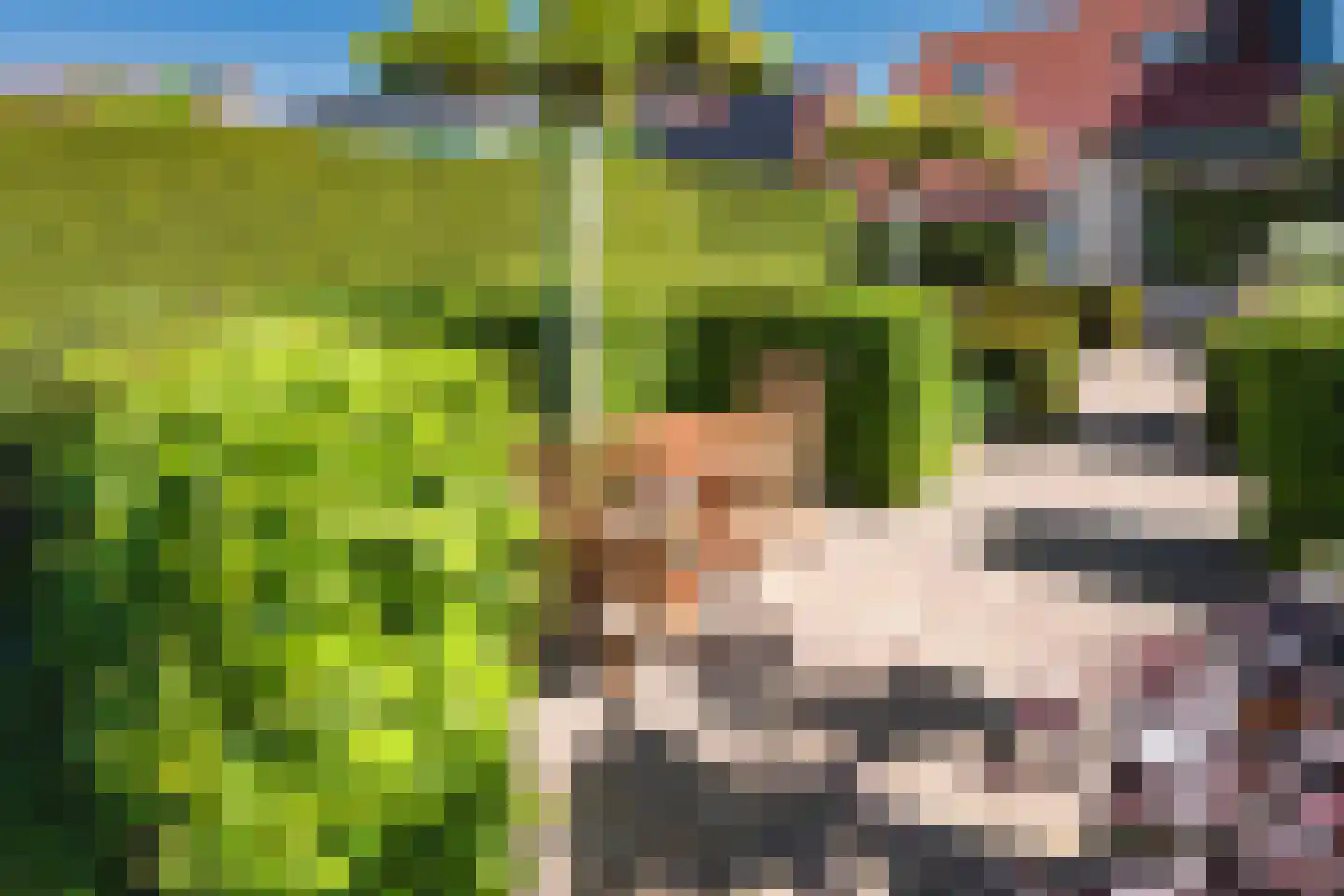Stroom-Eschlaan 35 Borne thumbnail 47