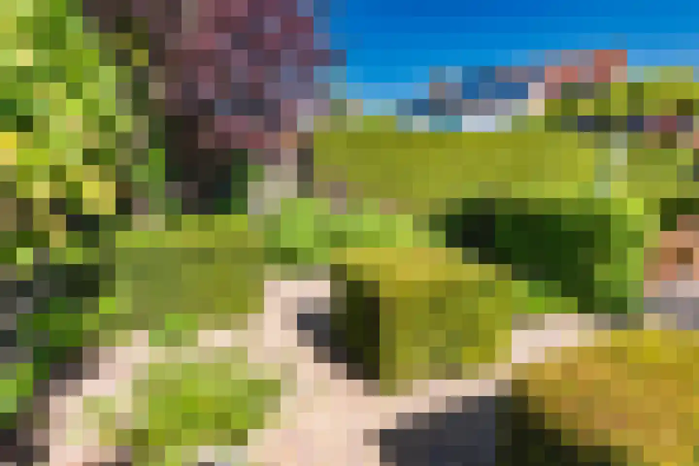 Stroom-Eschlaan 35 Borne thumbnail 48