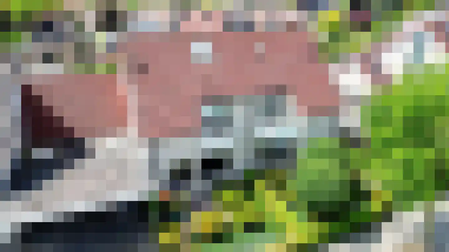 Stroom-Eschlaan 35 Borne thumbnail 54