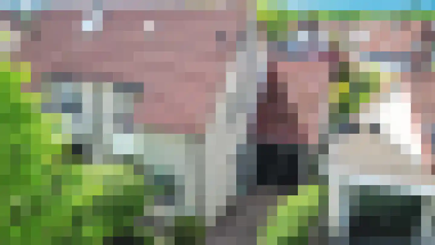 Stroom-Eschlaan 35 Borne thumbnail 55