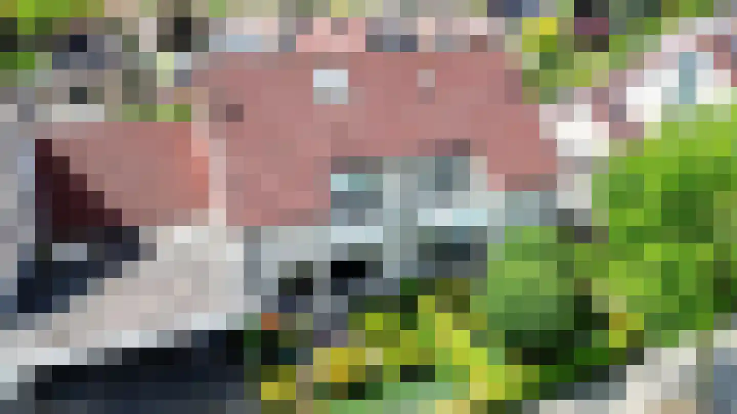 Stroom-Eschlaan 35 Borne thumbnail 55