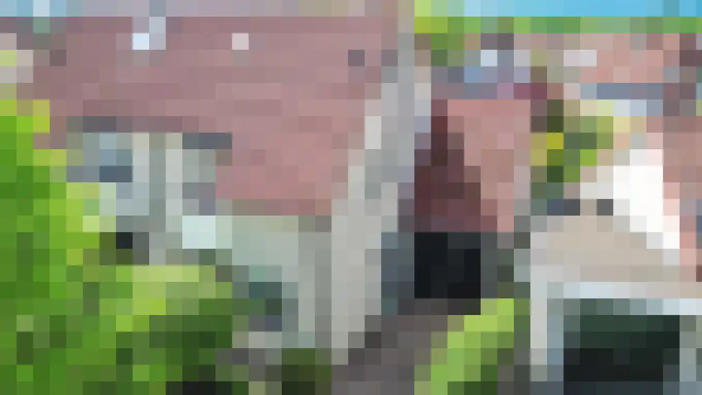 Stroom-Eschlaan 35 Borne thumbnail 56