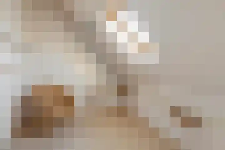 Stroom-Eschlaan 52 Borne thumbnail 13
