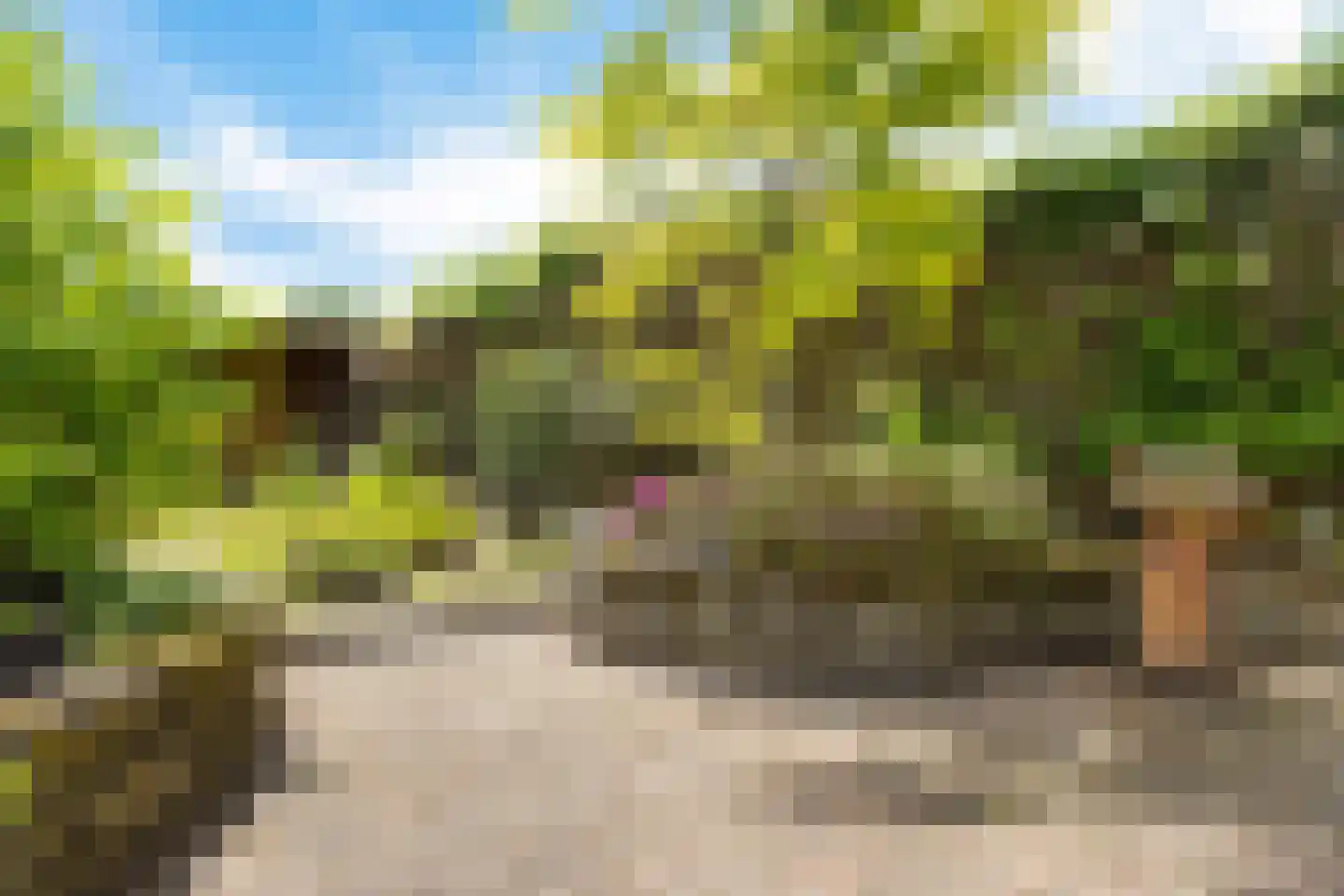 Stroomdal 10 Steenwijk thumbnail 15