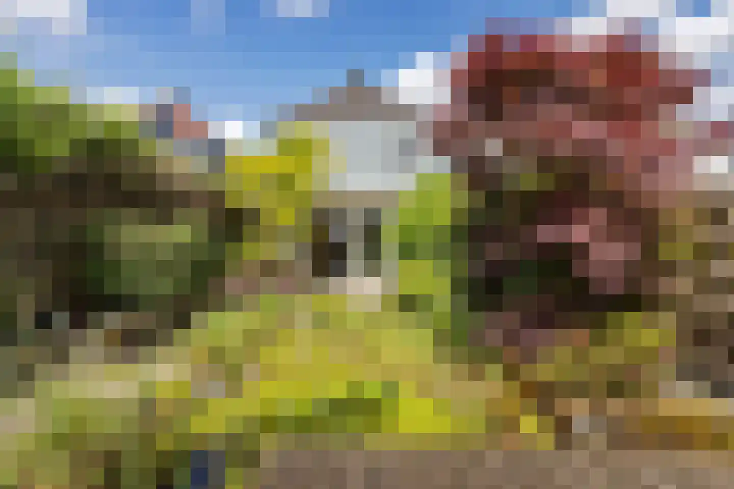 Stroomdal 10 Steenwijk thumbnail 31