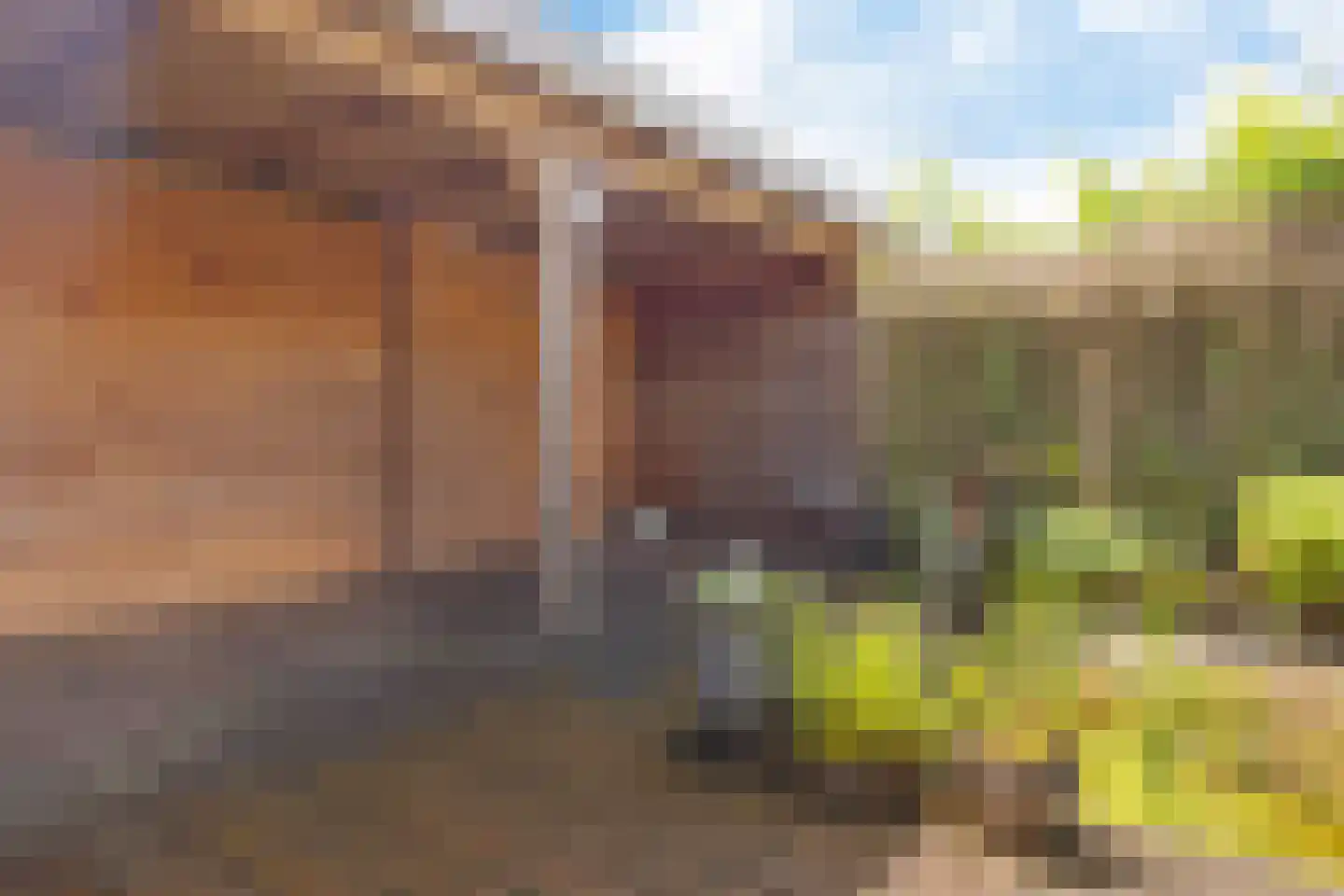 Stroomdal 10 Steenwijk thumbnail 33