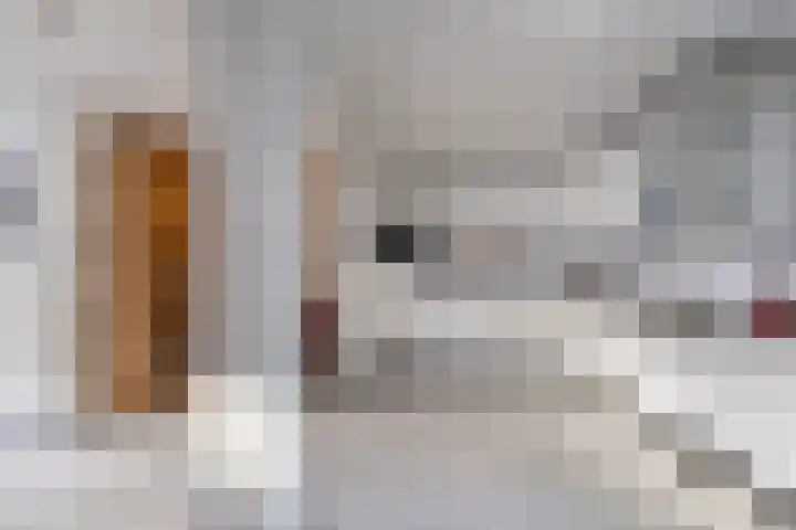 Stroomdal 25 Steenwijk thumbnail 19