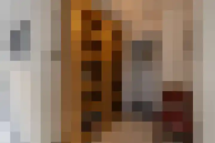 Stroomdal 25 Steenwijk thumbnail 20