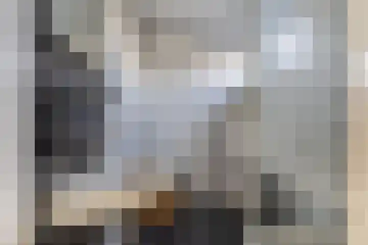 Stroomdal 25 Steenwijk thumbnail 32