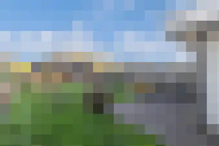 Stroomdal 25 Steenwijk thumbnail 38