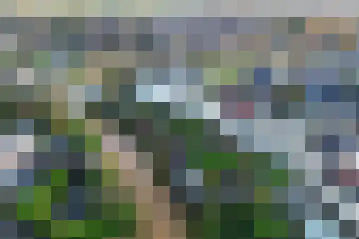 Stroomdal 25 Steenwijk thumbnail 41