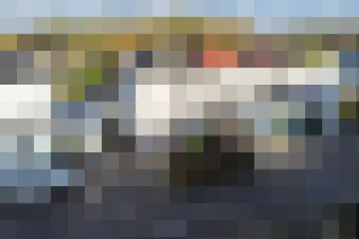 Stroomdal 25 Steenwijk thumbnail 49